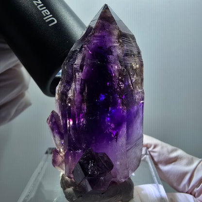 Seltene Skelett Phantom Amethyst Zepter Stufe Goboboseb, Namibia 60*32*28mm
