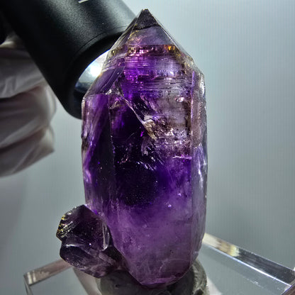 Seltene Skelett Phantom Amethyst Zepter Stufe Goboboseb, Namibia 60*32*28mm