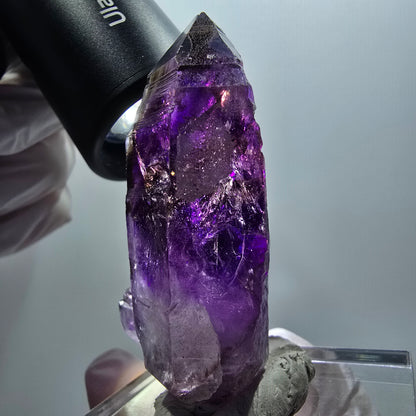 Seltene Skelett Phantom Amethyst Zepter Stufe Goboboseb, Namibia 60*32*28mm
