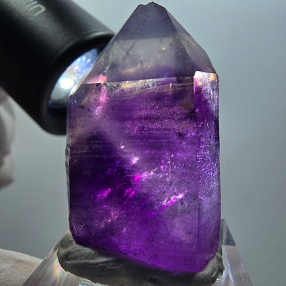 Seltene Skelett Phantom Amethyst Spitze Goboboseb, Namibia 36*24*16mm