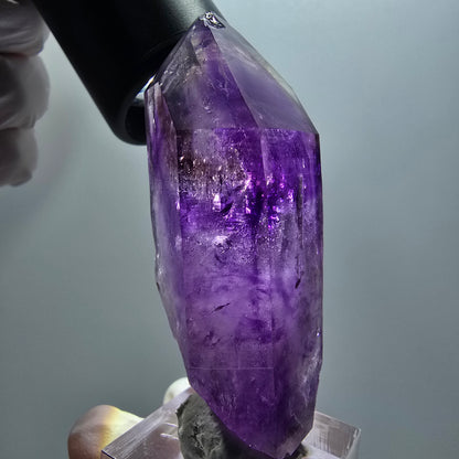 Enhydro Skelett Phantom Amethyst DT, 1x Blase Goboboseb, Namibia 67*26*21mm