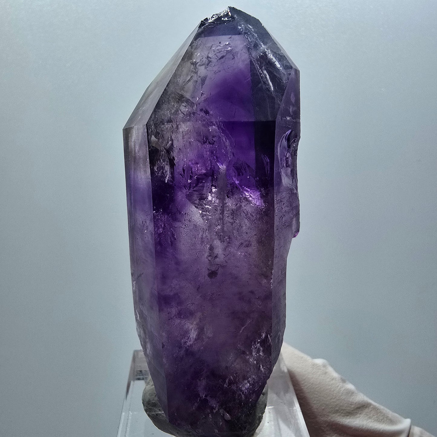 Enhydro Skelett Phantom Amethyst DT, 1x Blase Goboboseb, Namibia 67*26*21mm