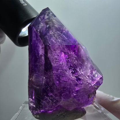 Enhydro Skelett Phantom Amethyst, 4x Blase (große) Goboboseb, Namibia 61*40*37mm