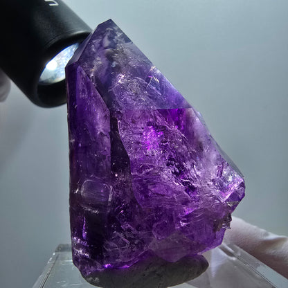 Enhydro Skelett Phantom Amethyst, 4x Blase (große) Goboboseb, Namibia 61*40*37mm