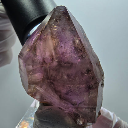 Enhydro Skelett Phantom Amethyst Zepter, 4x Blase Goboboseb, Namibia 49*35*25mm