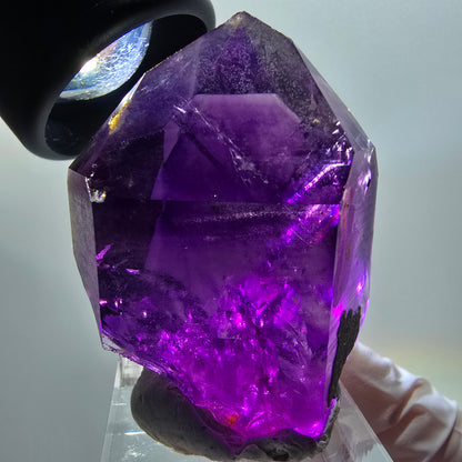 Seltene Skelett Phantom Amethyst Spitze Goboboseb, Namibia 46*36*29mm