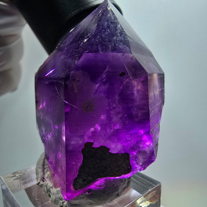 Seltene Skelett Phantom Amethyst Spitze Goboboseb, Namibia 46*36*29mm