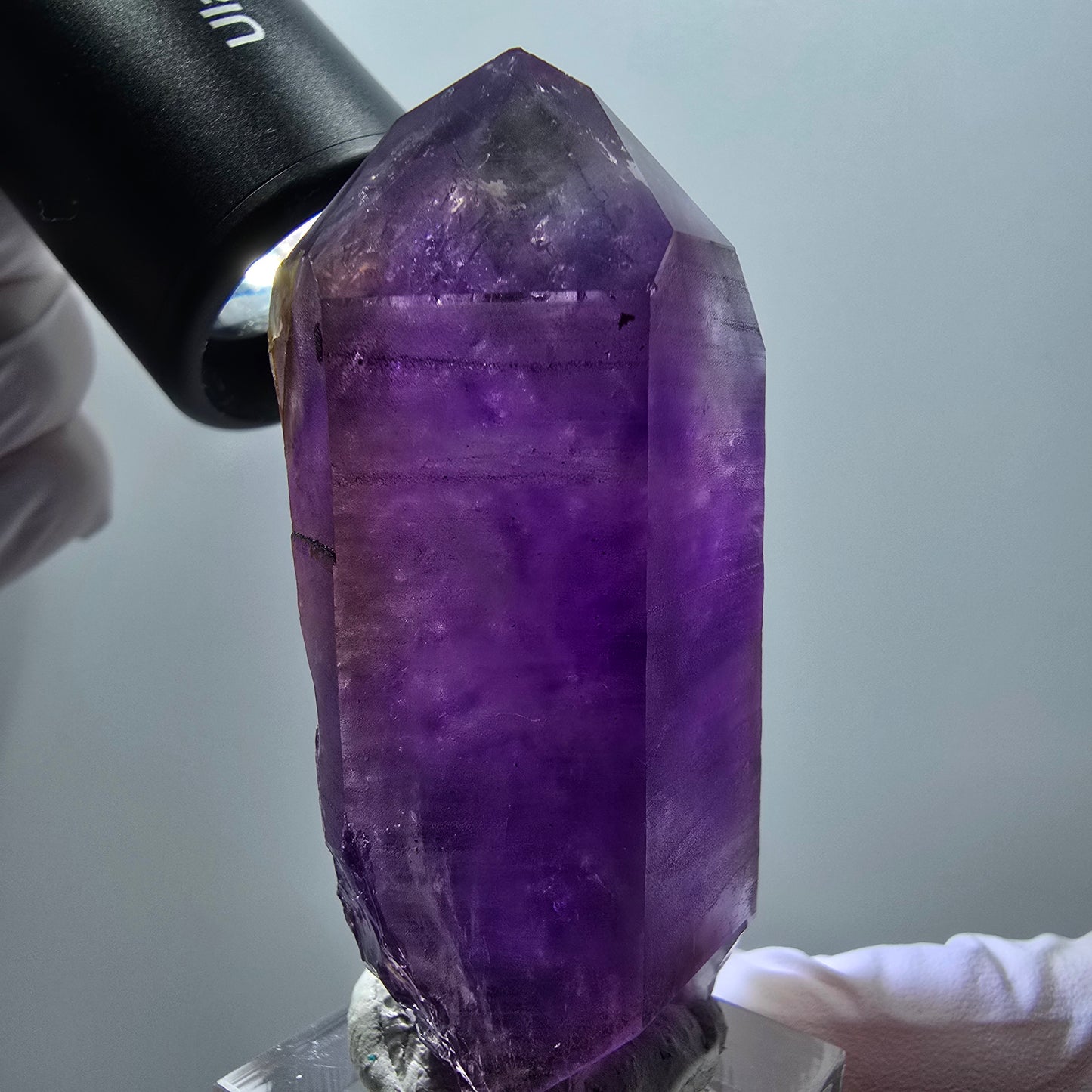 Seltene Skelett Phantom Amethyst Spitze Goboboseb, Namibia 61*36*26mm