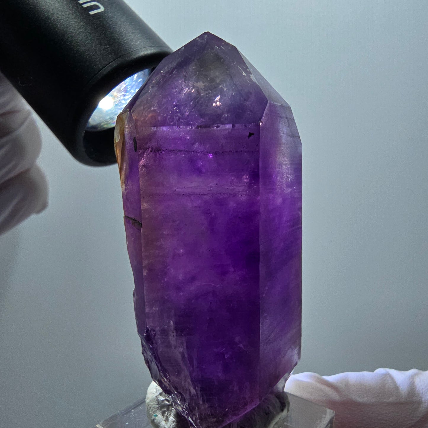 Seltene Skelett Phantom Amethyst Spitze Goboboseb, Namibia 61*36*26mm