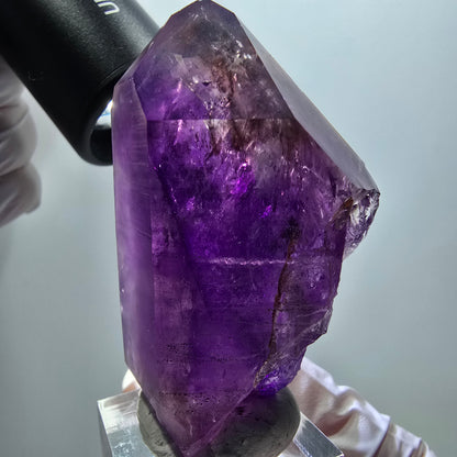 Seltene Skelett Phantom Amethyst Spitze Goboboseb, Namibia 61*36*26mm