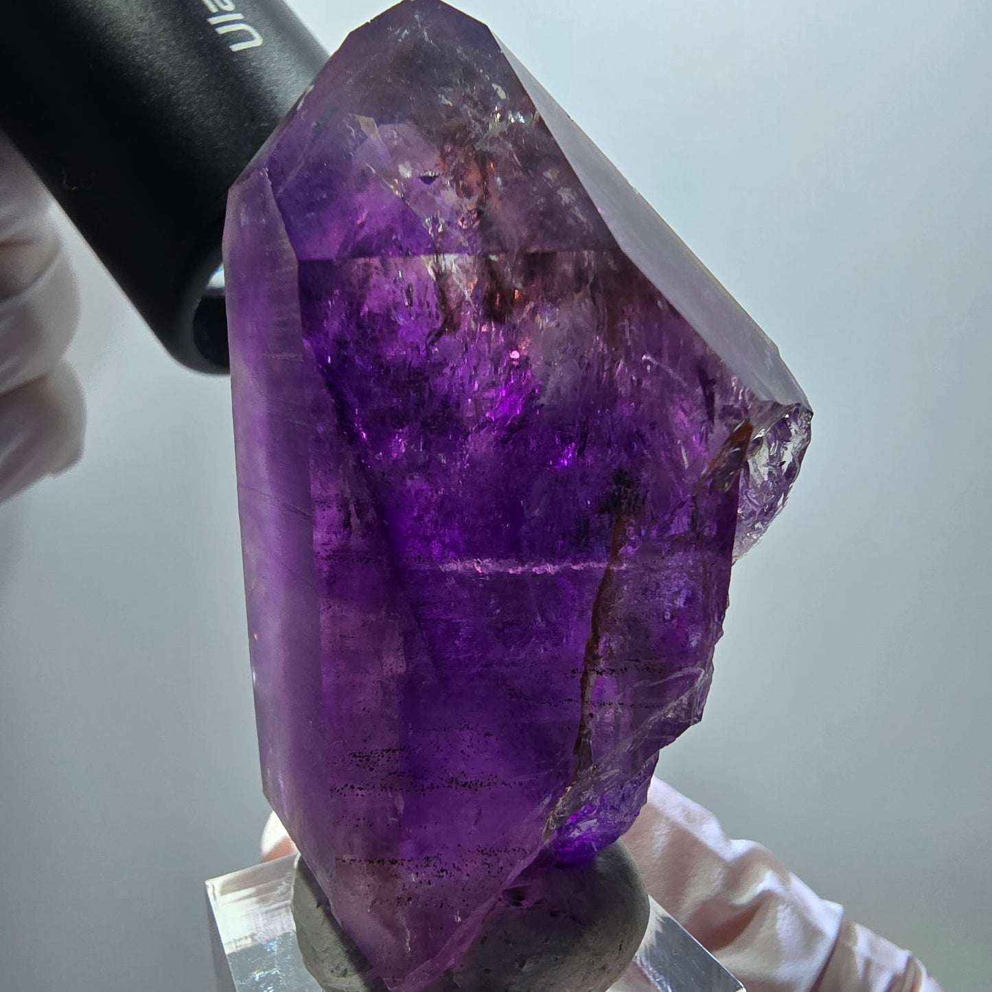 Seltene Skelett Phantom Amethyst Spitze Goboboseb, Namibia 61*36*26mm