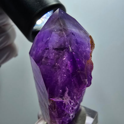 Seltene Skelett Phantom Amethyst Spitze Goboboseb, Namibia 61*36*26mm