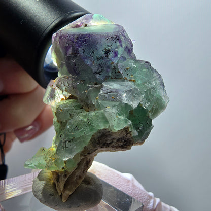 Cube de fluorite fantôme, zonal, spécimen d'orthose, Erongo, Namibie, 49 x 33 x 20 mm 