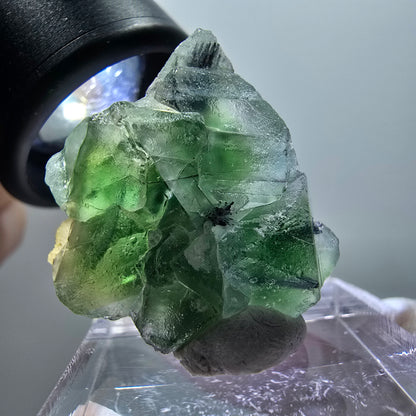 Phantom Fluorit, Schörl Turmalin, (+ UV Mineral unbekannt) Erongo, Namibia 25*24*12mm