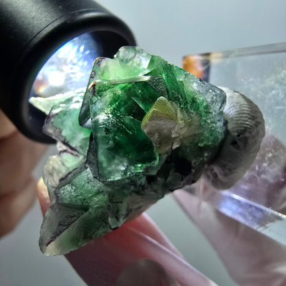 Phantom Fluorit, Schörl Turmalin, Muskovit Stufe Erongo, Namibia 35*28*27mm