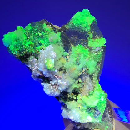 Phantom Fluorit, Schörl Turmalin, Muskovit, Hyalit Erongo, Namibia 46*32*21mm