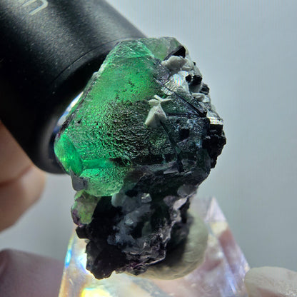 Phantom Fluorit, hexagonal, Schörl Turmalin, Muskovit Erongo, Namibia 32*30*22mm