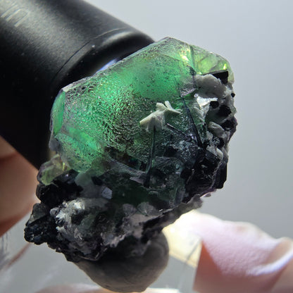Phantom Fluorit, hexagonal, Schörl Turmalin, Muskovit Erongo, Namibia 32*30*22mm