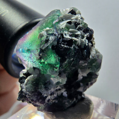 Phantom Fluorit, hexagonal, Schörl Turmalin, Muskovit Erongo, Namibia 32*30*22mm