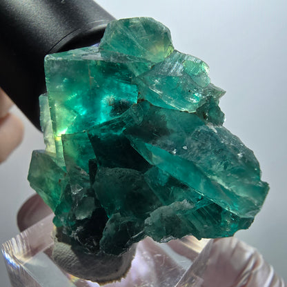 Phantom Fluorit Würfel Stufe, grün Okorusu, Namibia 42*35*17mm