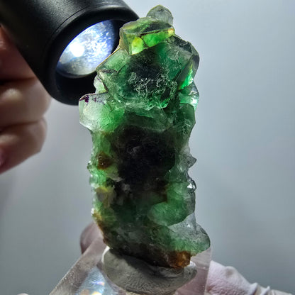 Phantom Fluorit Würfel, Muskovit, Hyalit Stufe Erongo, Namibia 56*24*19mm