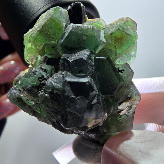 Phantom Fluorit, hexagonal, Schörl Turmalin, Muskovit Erongo, Namibia 41*36*25mm