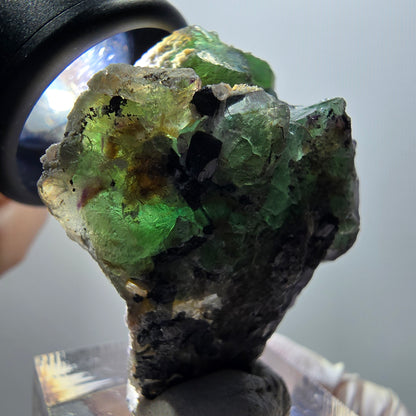 Phantom Fluorit, hexagonal, Schörl Turmalin, Muskovit Erongo, Namibia 41*36*25mm