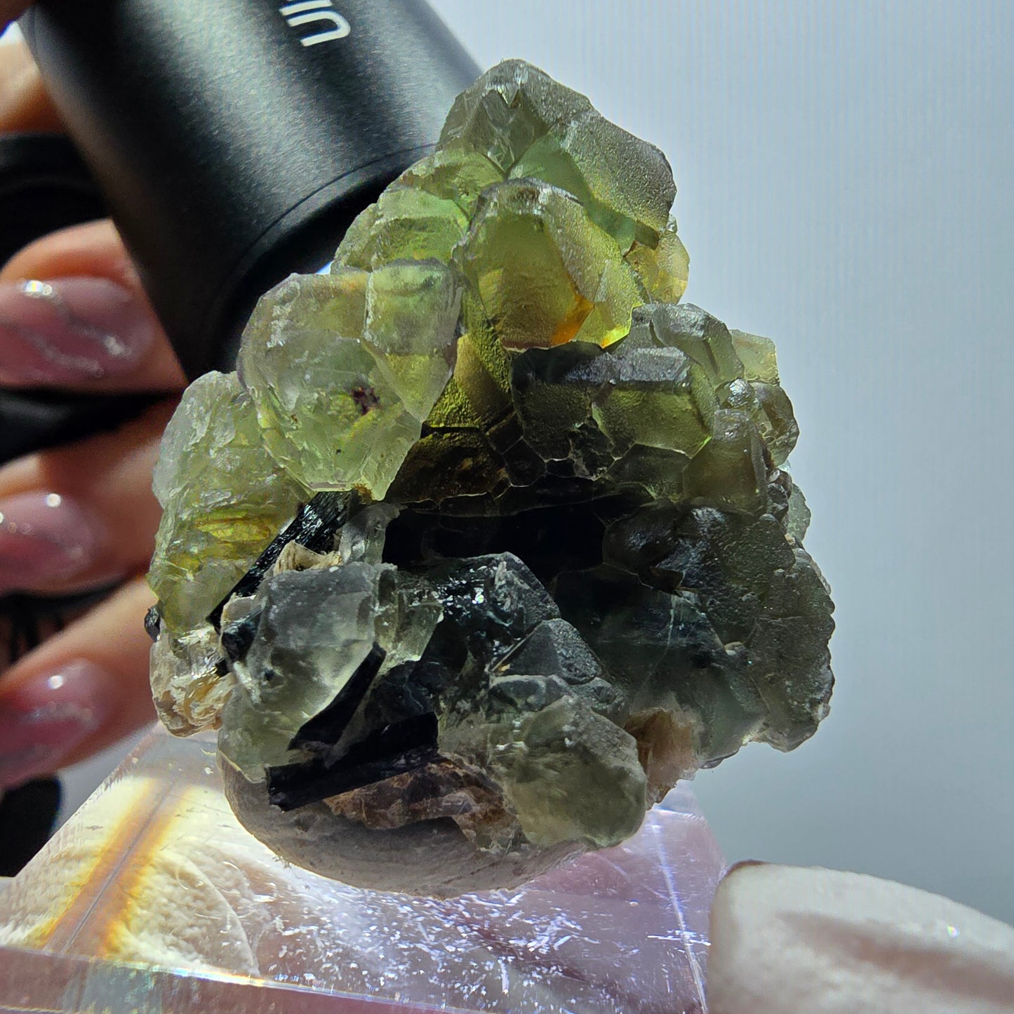 Phantom Fluorit, hexagonal, Schörl Turmalin, Muskovit Erongo, Namibia 36*32*28mm