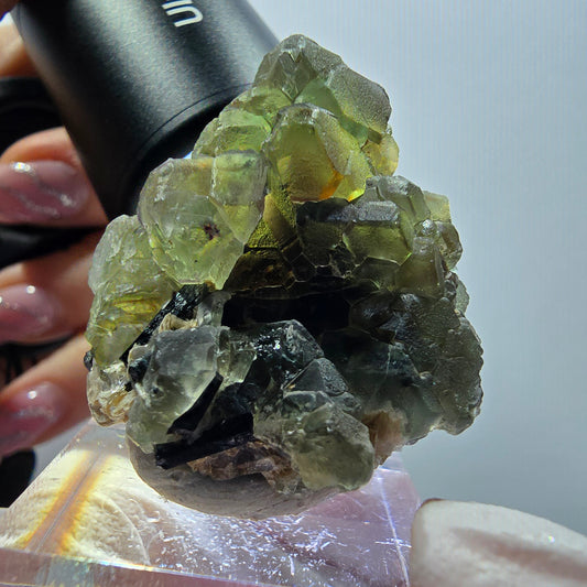 Phantom Fluorit, hexagonal, Schörl Turmalin, Muskovit Erongo, Namibia 36*32*28mm