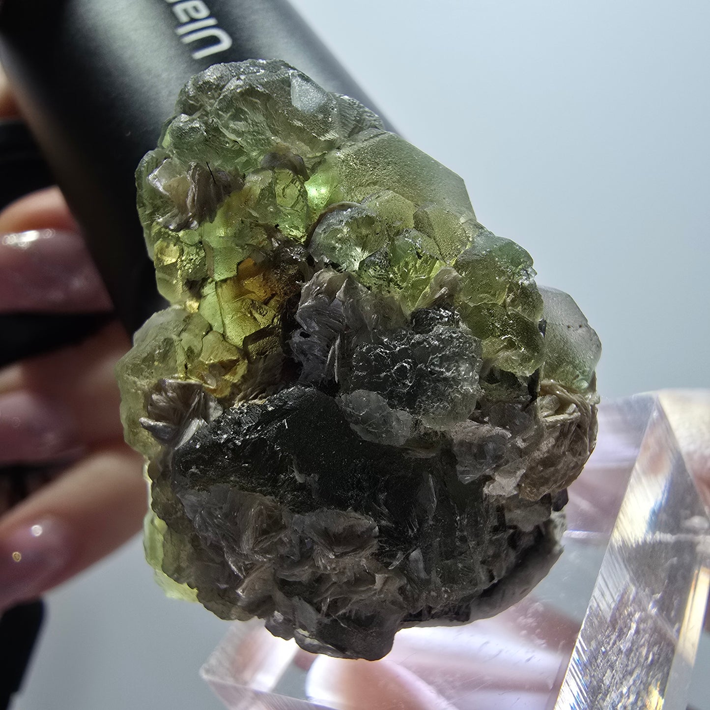 Phantom Fluorit, hexagonal, Schörl Turmalin, Muskovit Erongo, Namibia 36*32*28mm