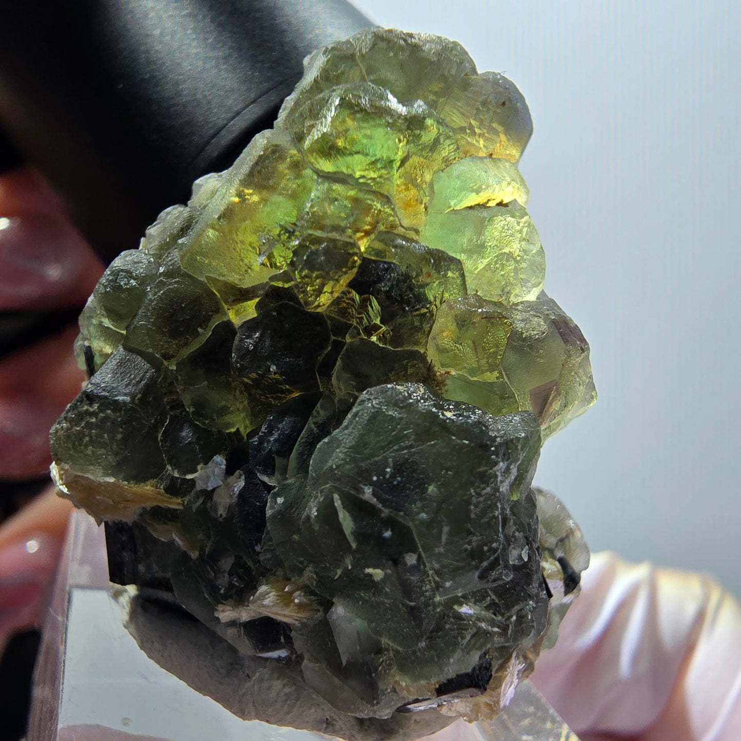 Phantom Fluorit, hexagonal, Schörl Turmalin, Muskovit Erongo, Namibia 36*32*28mm