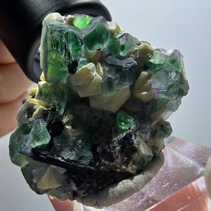 Phantom Fluorit, Schörl Turmalin, Muskovit Stufe Erongo, Namibia 44*38*21mm