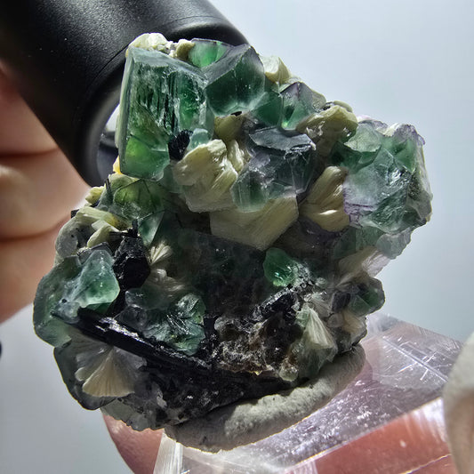 Phantom Fluorit, Schörl Turmalin, Muskovit Stufe Erongo, Namibia 44*38*21mm