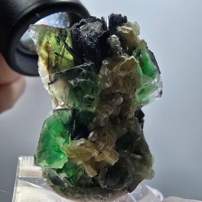 Phantom Fluorit, Schörl Turmalin, Muskovit, Hyalit Erongo, Namibia 40*26*13mm