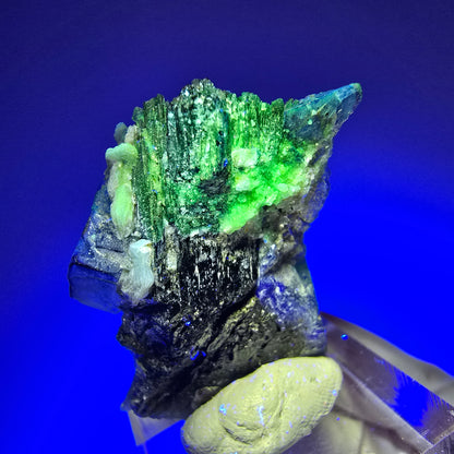 Phantom Fluorit, Schörl Turmalin, Muskovit, Hyalit Erongo, Namibia 40*26*13mm