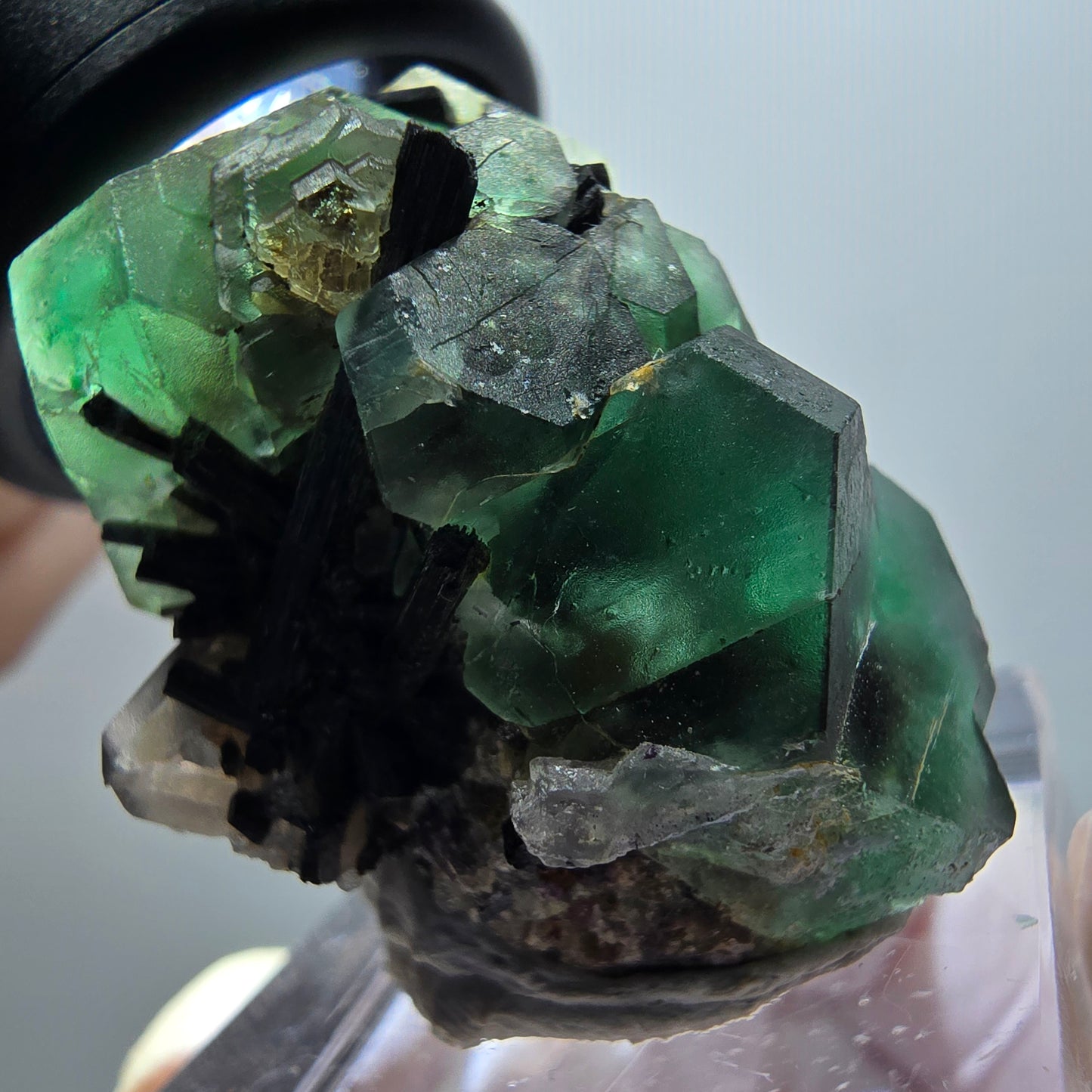 Phantom fluorite hexagonal, Schörl tourmaline, smoky quartz Erongo Namibia 35*25*24mm 