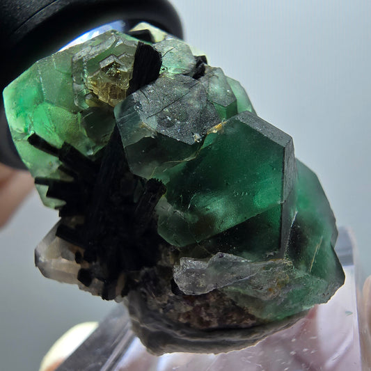 Phantom Fluorit hexagonal, Schörl Turmalin, Rauchquarz Erongo Namibia 35*25*24mm