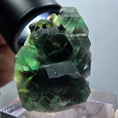Phantom fluorite hexagonal, Schörl tourmaline, smoky quartz Erongo Namibia 35*25*24mm 