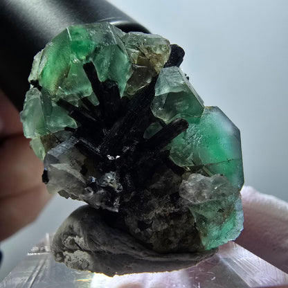 Phantom fluorite hexagonal, Schörl tourmaline, smoky quartz Erongo Namibia 35*25*24mm 