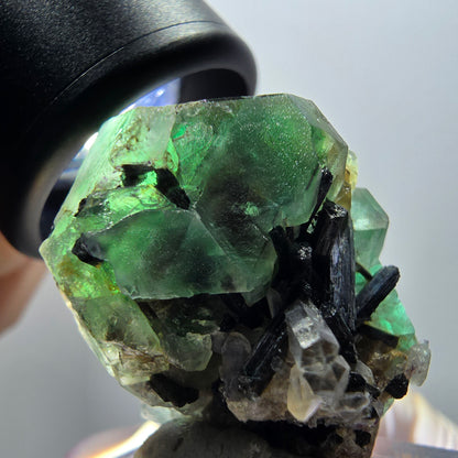 Phantom fluorite hexagonal, Schörl tourmaline, smoky quartz Erongo Namibia 35*25*24mm 