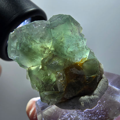 Seltene klare Phantom Fluorit Würfel Formation, zonal Erongo, Namibia 30*27*15mm