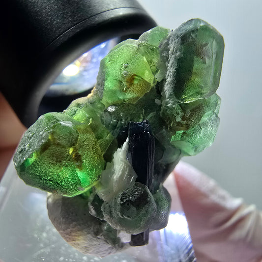 Phantom Fluorit, hexagonal, Schörl Turmalin, Muskovit Erongo, Namibia 27*25*19mm