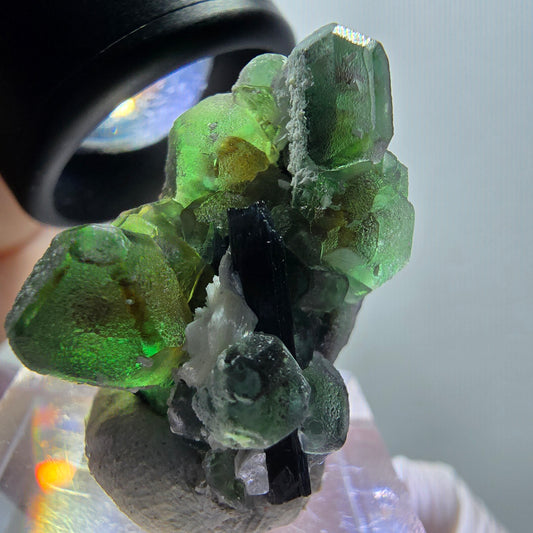 Phantom Fluorit, hexagonal, Schörl Turmalin, Muskovit Erongo, Namibia 27*25*19mm