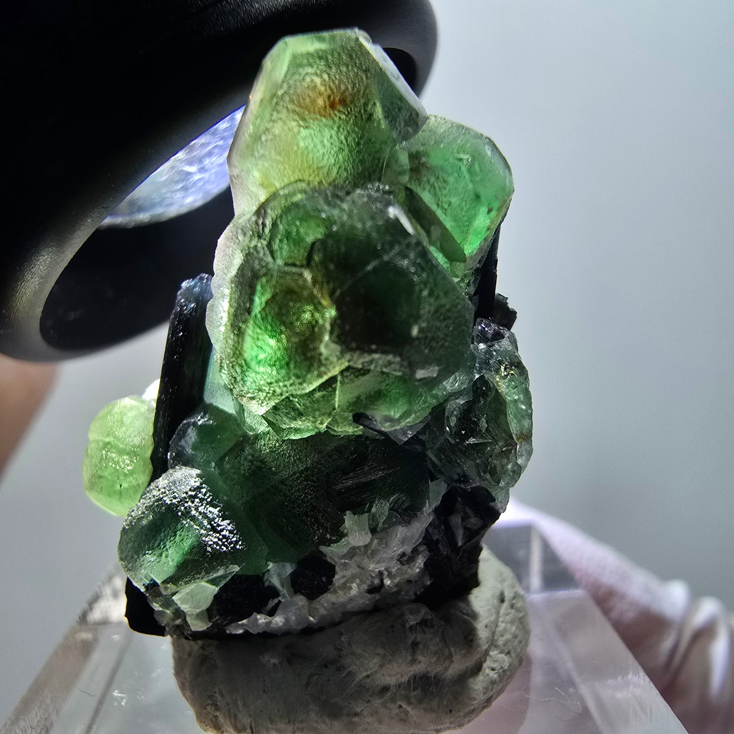 Phantom Fluorit, hexagonal, Schörl Turmalin, Muskovit Erongo, Namibia 27*25*19mm