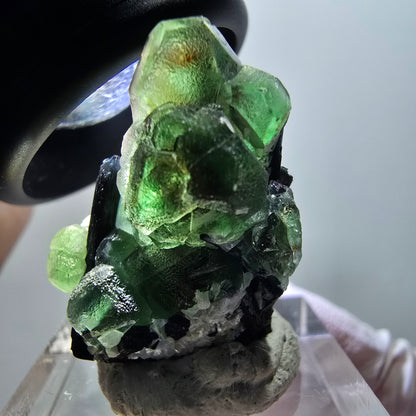 Phantom Fluorit, hexagonal, Schörl Turmalin, Muskovit Erongo, Namibia 27*25*19mm