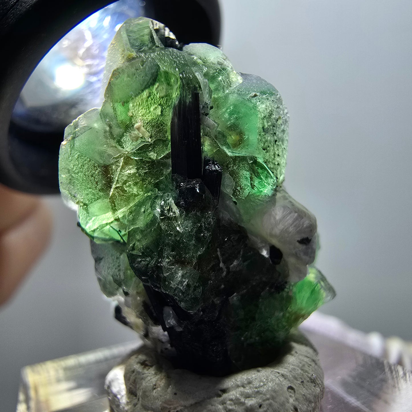 Phantom Fluorit, hexagonal, Schörl Turmalin, Muskovit Erongo, Namibia 27*25*19mm