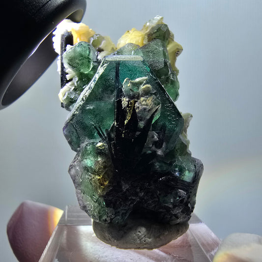 Phantom Fluorit, hexagonal, Schörl Turmalin, Muskovit, Hyalit Erongo, Namibia 51*27*19mm