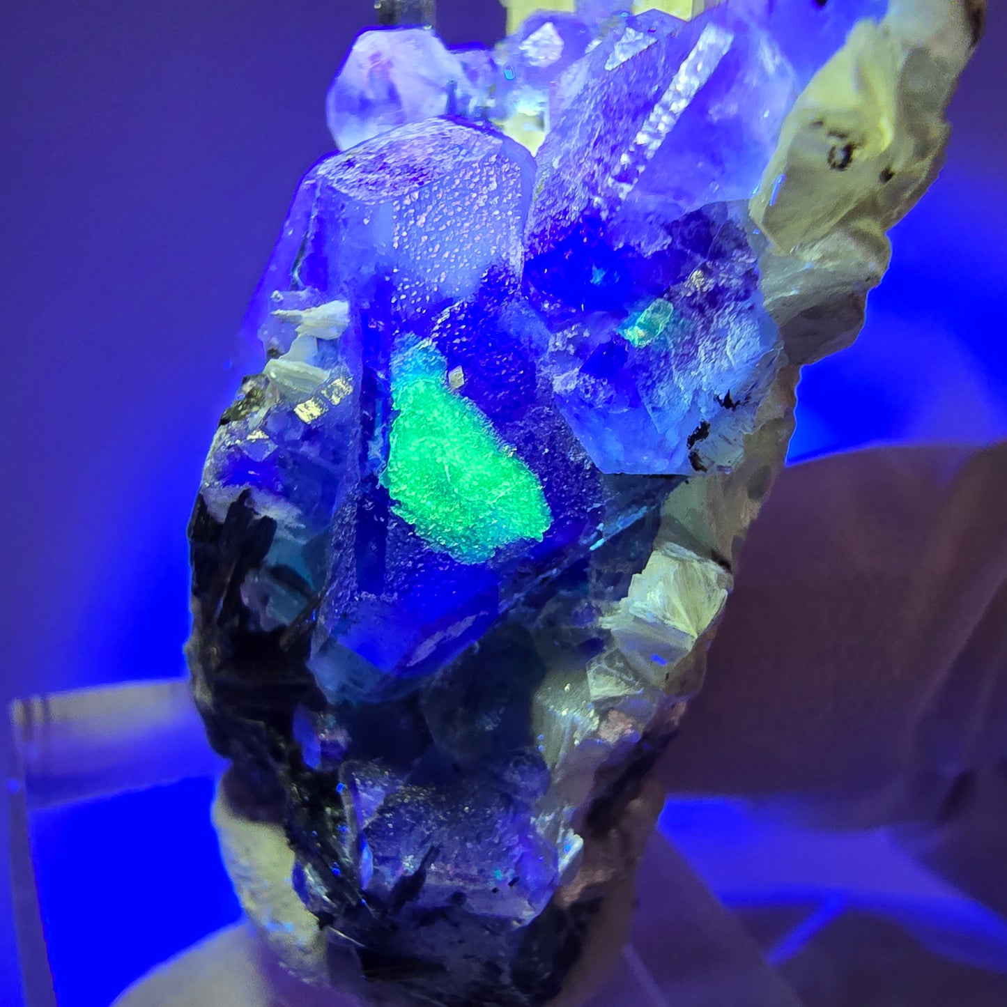 Phantom Fluorit, hexagonal, Schörl Turmalin, Muskovit, Hyalit Erongo, Namibia 51*27*19mm