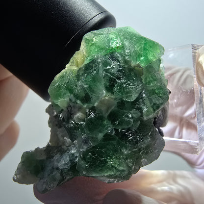 Phantom Fluorit, hexagonal, Schörl Turmalin, Muskovit Erongo, Namibia 44*27*32mm