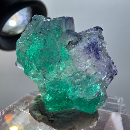 Phantom Fluorit, zonal, Muskovit Stufe Erongo, Namibia 27*25*12mm